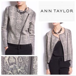 Ann Taylor Asymmetrical Python Moto Jacket